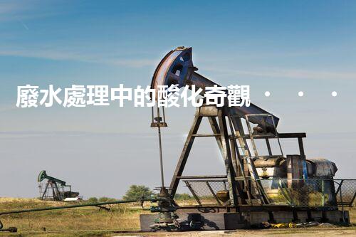 廢水處理中的酸化奇觀？